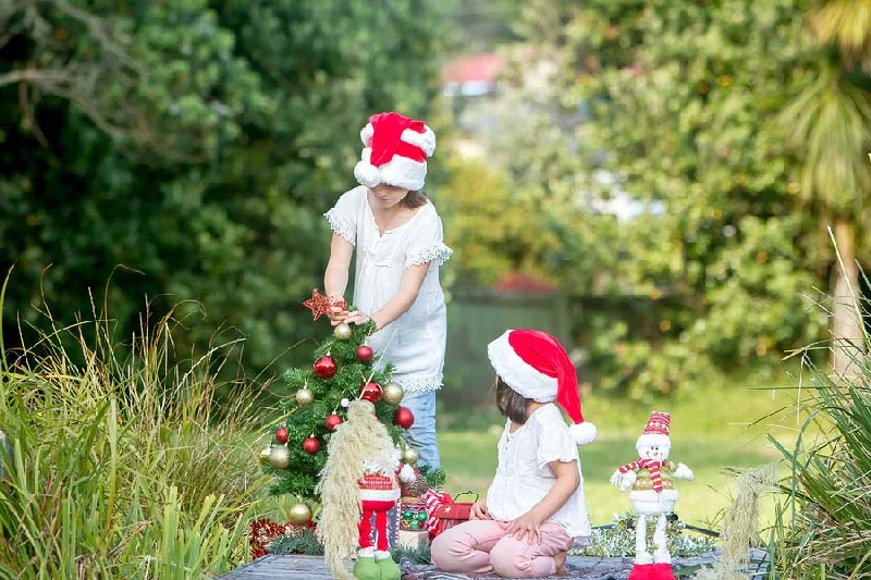 Preparing Your Garden for Holiday Celebrations
