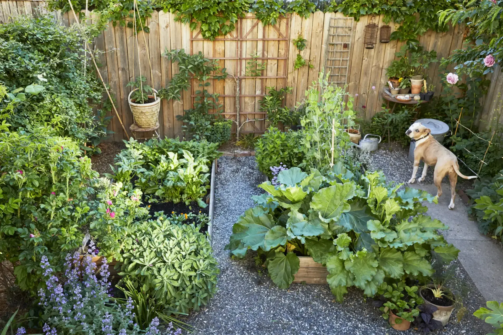 6 Garden Trends to Try in 2026 for a More Functional and Beautiful Outdoor Space