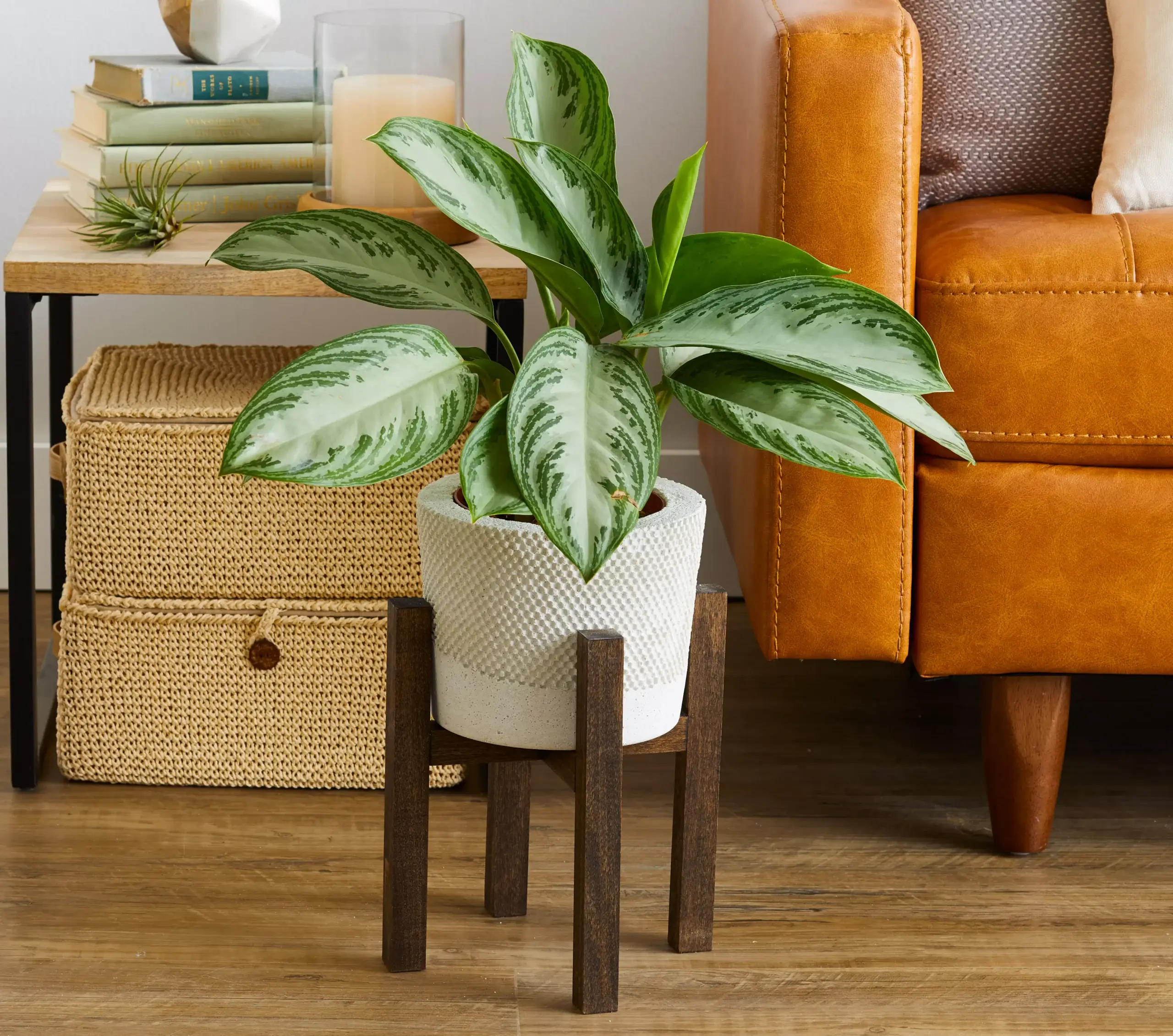 6 Creative DIY Plant Stand Ideas for a Lush, Green Interior